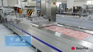 Bpz 400 Max Full Automatic Thermoform Packaging Machine with MAP Application