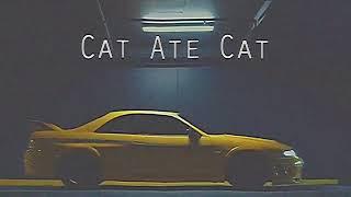 K1NG - Cat Ate Cat (New Visual)