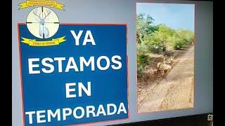 Tierra de Venados Ya estamos en temporada, momento de disfrutar estos maravillosos ejemplares de N L