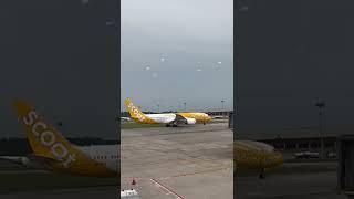 Scoot Airlines