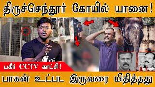 Shocking CCTV காட்சி | Thiruchendur Temple Elephant Attacked 2 people | Deivanai Elephant