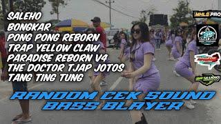 RANDOM DJ CEK SOUND VIRAL TERBARU 2024 BASS BLAYER BREWOG AUDIO | DJ TANG TING TUNG X SALEHO