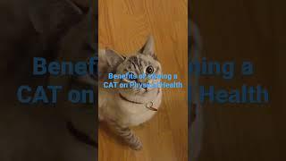 Cat Ownership  || Boost Your Physical Health  #shorts #animals