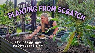 How to plant a garden FROM SEED ~ Growing more food made easy!