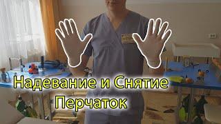 Снятие и надевание медицинских перчаток. Всем приятного просмотра!