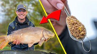 How To Fish The HYBRID FEEDER | Bait | Set-up | Tackle | Tips | Everything You NEED To Know