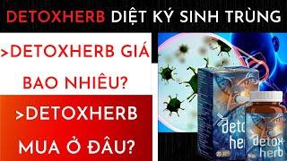 Detoxherb giá bao nhiêu? Detoxherb chính hãng mua ở đâu?