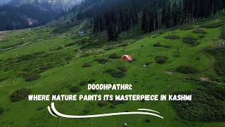 Doodhpathri: Where Nature Paints Its Masterpiece in Kashmir 