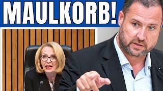 FPÖ-EKLAT im Parlament!  Als er DAS sagt, schneidet SIE ihm das Wort ab! 