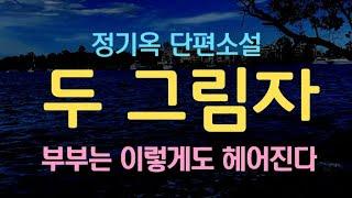 [오디오북] 사랑의 유효기간 900일이라더니 ... 결별의 이유가 많기도 하다... 거기엔 이런 이별도 있다... 정기옥 단편소설 - 두 그림자