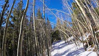 Rosalie Trail Colorado, USA