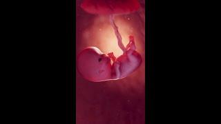 #Life at 10 Weeks #science #medicine