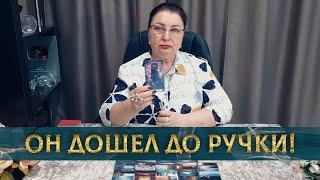 ОН ДОШЕЛ ДО РУЧКИ! ЧТО ПРОИСХОДИТ С НИМ БЕЗ ТЕБЯ?