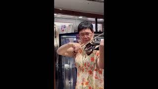 在东京银座买电子小提琴