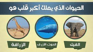 13 لغاز للأذكياء فقط، الأغبياء لا يمكنهم حلها !!  مخصصة لأذكي الأذكياء !!