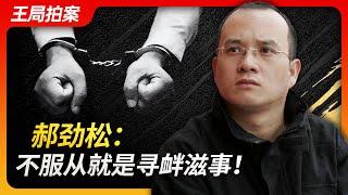 郝劲松：不服从就是寻衅滋事！｜郝劲松｜公益诉讼｜钓鱼执法｜寻衅滋事｜柴静｜开倒车｜王局拍案20230731｜