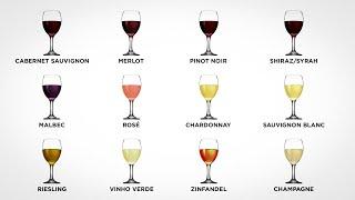 Every Wine Explained in 10 minutes Part 1