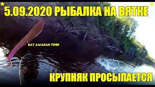 5.09.2021. СПИННИНГ НА ВЯТКЕ. РЫБАЛКА В КИРОВЕ. РЫБАЛКА НА ВЯТКЕ 2021. ДЖИГ С ЛОДКИ.