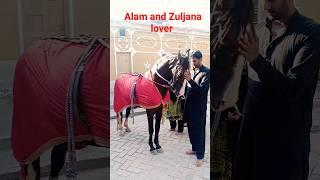 Murtajiz badshah|zuljana pak khaur|13muharram