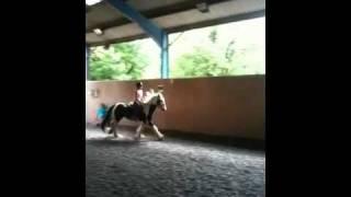 Newthorpe Equestrian Centre Rosanna Tempest First Canter