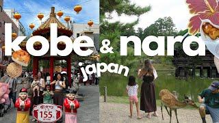 Nara & Kobe vlog  2 day itinerary, cafes, deer, summer in japan, chinatown, japan with kids