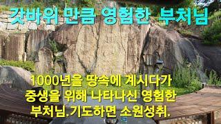 갓바위 만큼 영험한곳.천년을 땅속에??? 최근에 중생을 위해 나타나신 부처님.