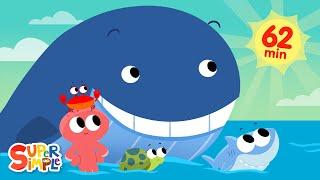 Mr. Golden Sun with Finny The Shark | 1 Hour Under The Sea Compilation | Super Simple Songs