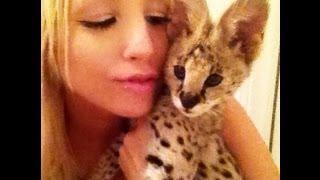 Baby Serval Sounds