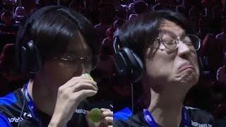 kkokkoma-sniffing-compilation.mp4