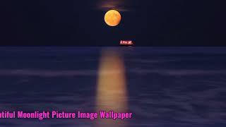 Beautiful Moonlight Picture | Moonlight Wallpapers | Moonlight Images | Moonlight Background Pics 