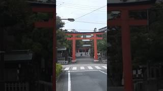 Japonya, Gosha Shrine Vlog #travel #vlog #japonya #shorts