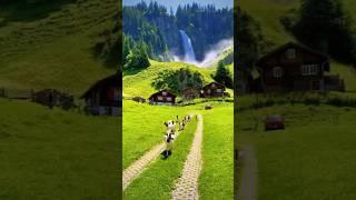 Timeless Charm of Switzerland