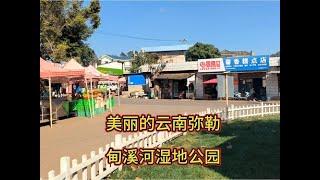 美丽的云南弥勒甸溪河湿地公园#人间烟火 #慢生活