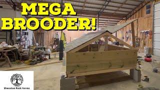 New Farmhand Builds A Joel Salatin Style Chicken Brooder!