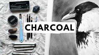 Everything I know about charcoal drawing in one video