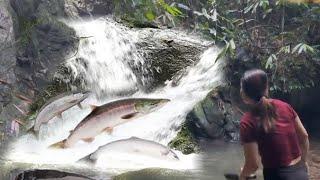 single mother living in the mountains