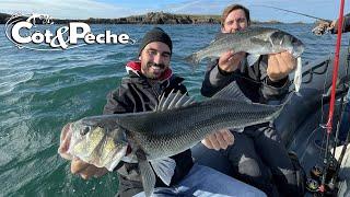 Pêcher des bars exclusivement aux leurres de surface !