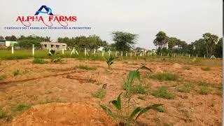 low budget farmland for sale in kanchipuram