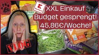 SPAREN XXL Wocheneinkauf so TEUER  45,86€  Budget gesprengt! #foodhaul #budgetplanung #vlog #haul