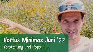 So viel geht in einen kleinen Naturgarten! Der Hortus Minimax