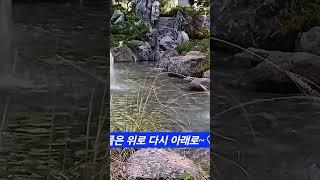함께 한다는 것은~부부로 산다는 것은~고왔던 꽃이 시들해져도~곧은 길이 구부러져도~흩어지는 구름이 언제든 모일 수 있는 하늘과 같은 공간을 만든다는 것~ #명상 #자기수행 #부부