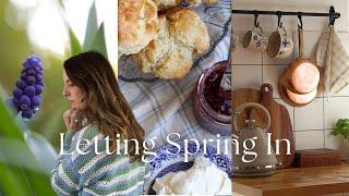 A Gentle Spring Reset | Home Refresh, Shelf Styling & Slow Chatty Vlog 