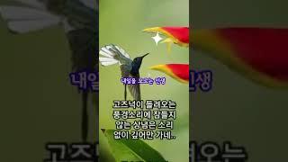 인생은 공수래 공수거. 작사 김규태.  작곡 김준규. 가이드.  곡 문의. @ 010.2745.7779