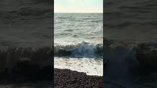 The sea the sea