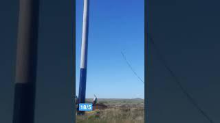 Отрывок из видео 18 (Часть 5)