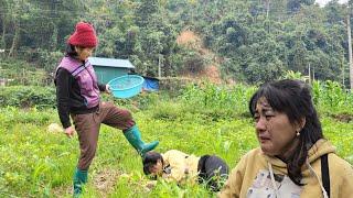 The Evil Woman Who Lives Near giang nga's House -     the next conflict between giang nga and her.