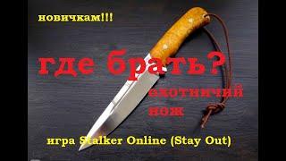 Охотничий НОЖ где взять новичку. В игре игра Stalker Online (Stay Out) сталкер онлайн