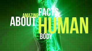 Amazing Science Facts #2 - Human Body