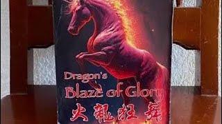 Dragons Blaze of Glory 16 shots #fireworks #newyear #diwali #fyp