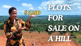 Affordable plots for sale on a hill